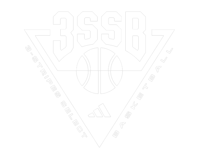 3SSB logo